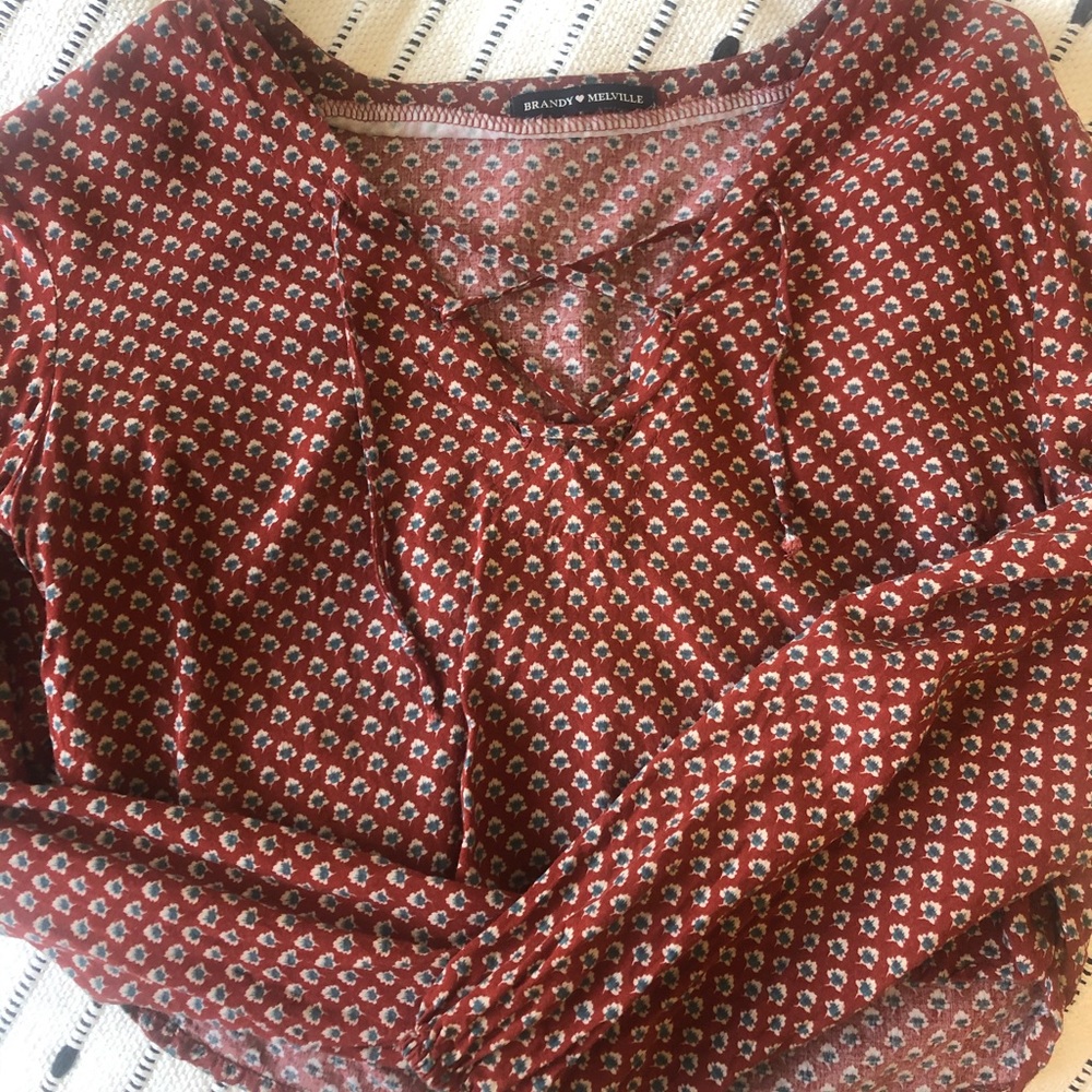brandy long sleeve crop top